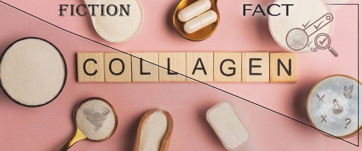 Can Collagen Supplements Regrow Receding Gums? Myths vs. Facts