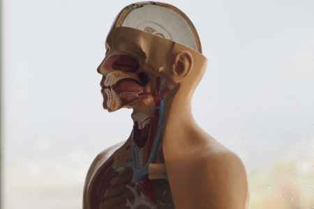 Diagram showing the connection between oral and systemic health